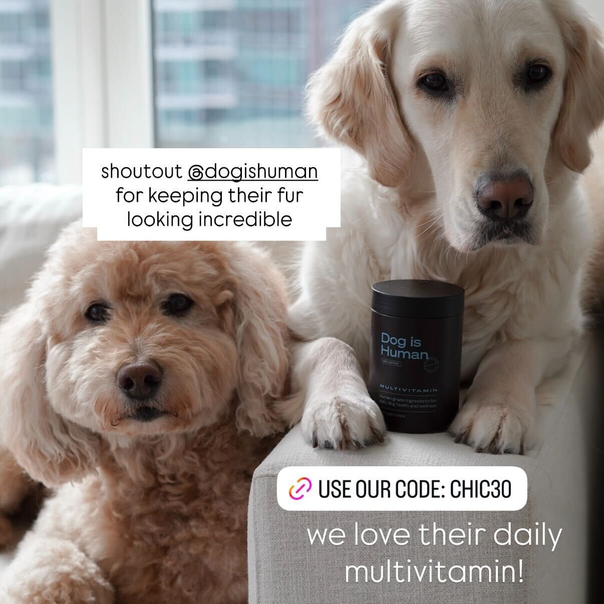 Chic City Sisters Facebook ad from Feb 19, 2026