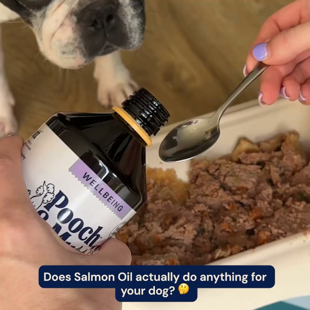 Pooch & Mutt Facebook ad: Salmon Oil for Dogs