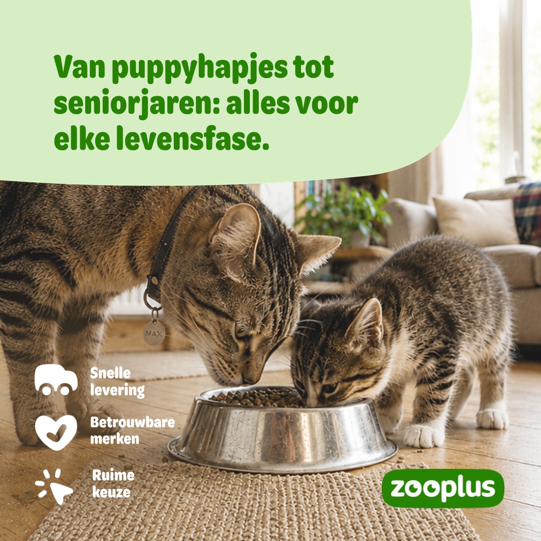 zooplus Facebook ad