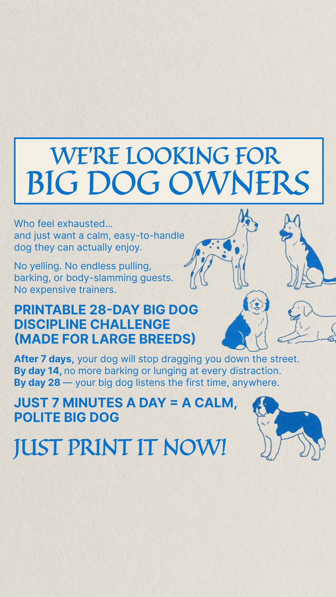 28 Day Dog Obedience Challenge Facebook ad
