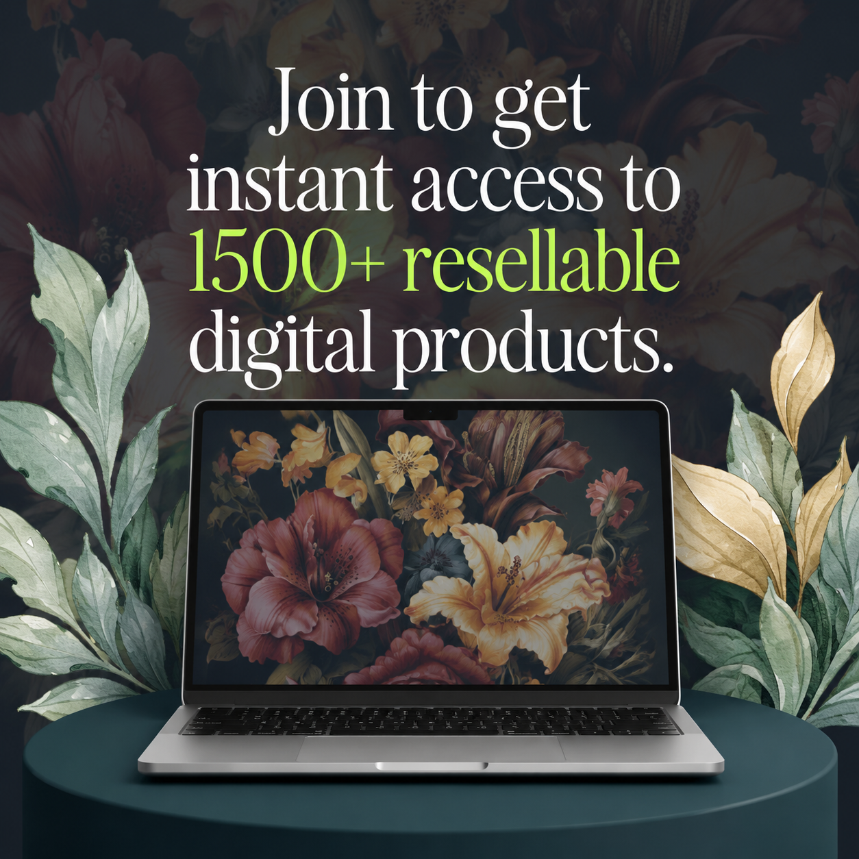 Evelyn Weiss Coaching Facebook ad