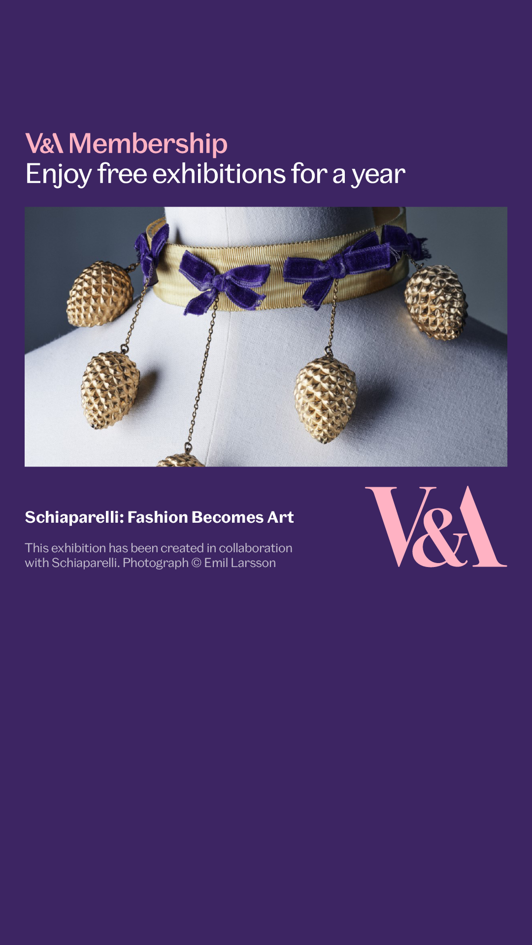 Victoria and Albert Museum Facebook ad