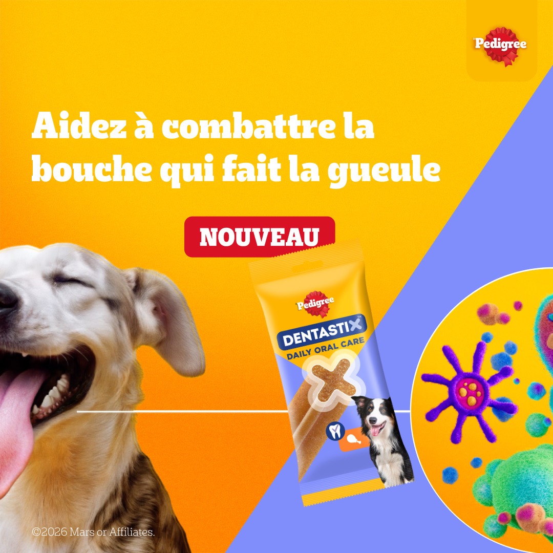 Pedigree France Facebook ad: Aidez-le à combattre les problèmes de bouche qui fait la…