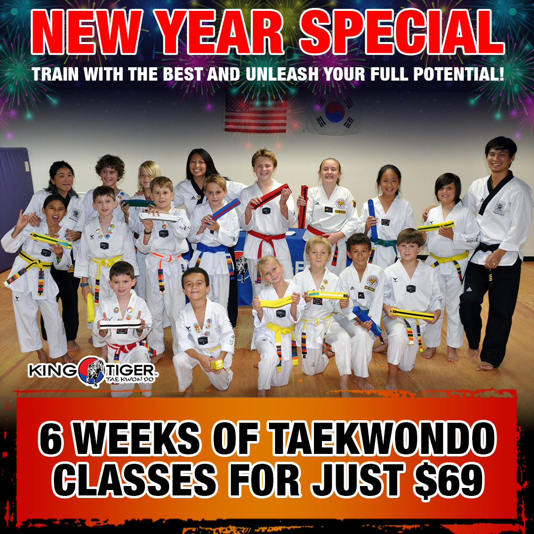 King Tiger Tae Kwon Do Lake Norman Facebook ad