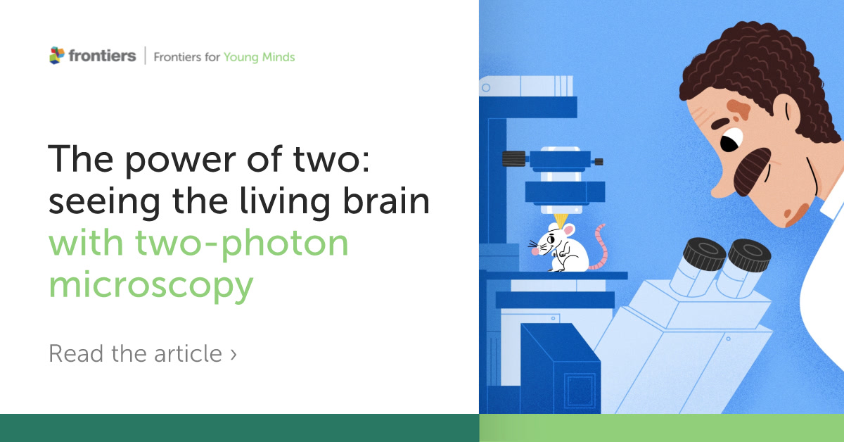 Frontiers for Young Minds Facebook ad
