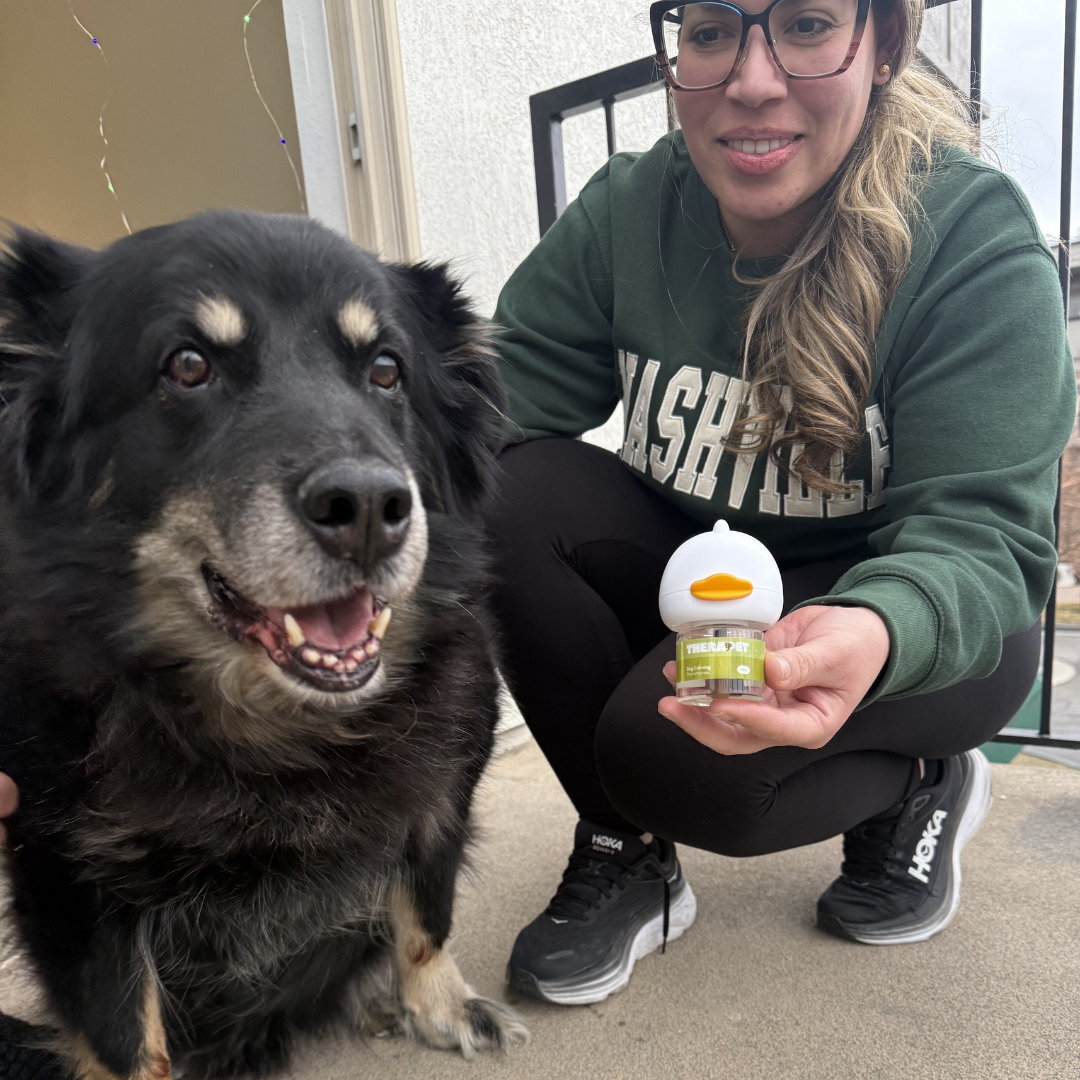 TheraPet Facebook ad