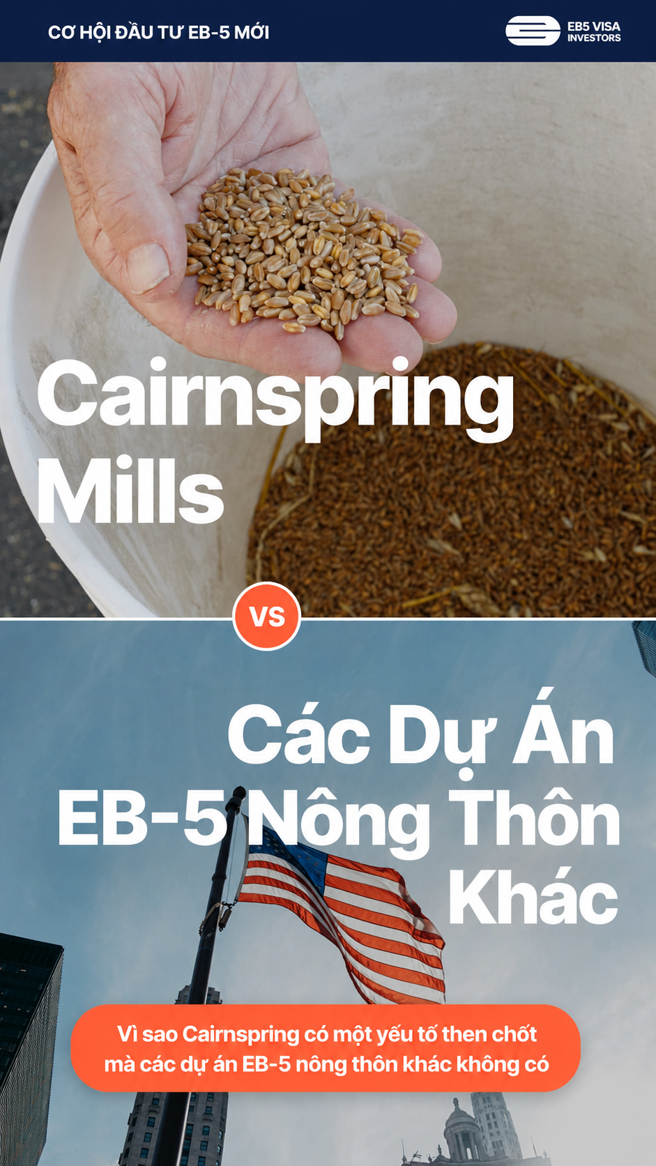 EB-5 Visa Investors Facebook ad: Cairnspring Mills là nhà sản xuất bột mì…