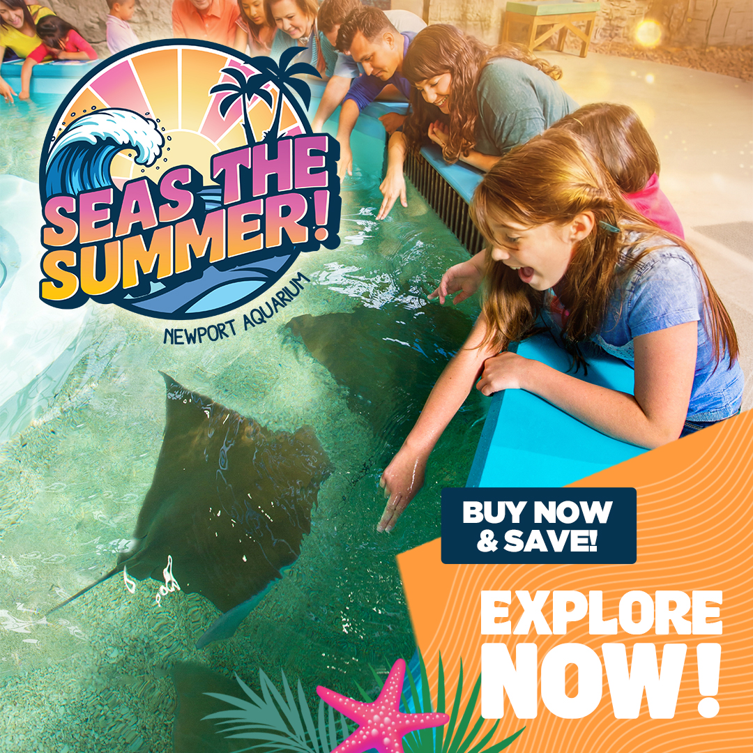 Newport Aquarium Facebook ad from Jul 9, 2026