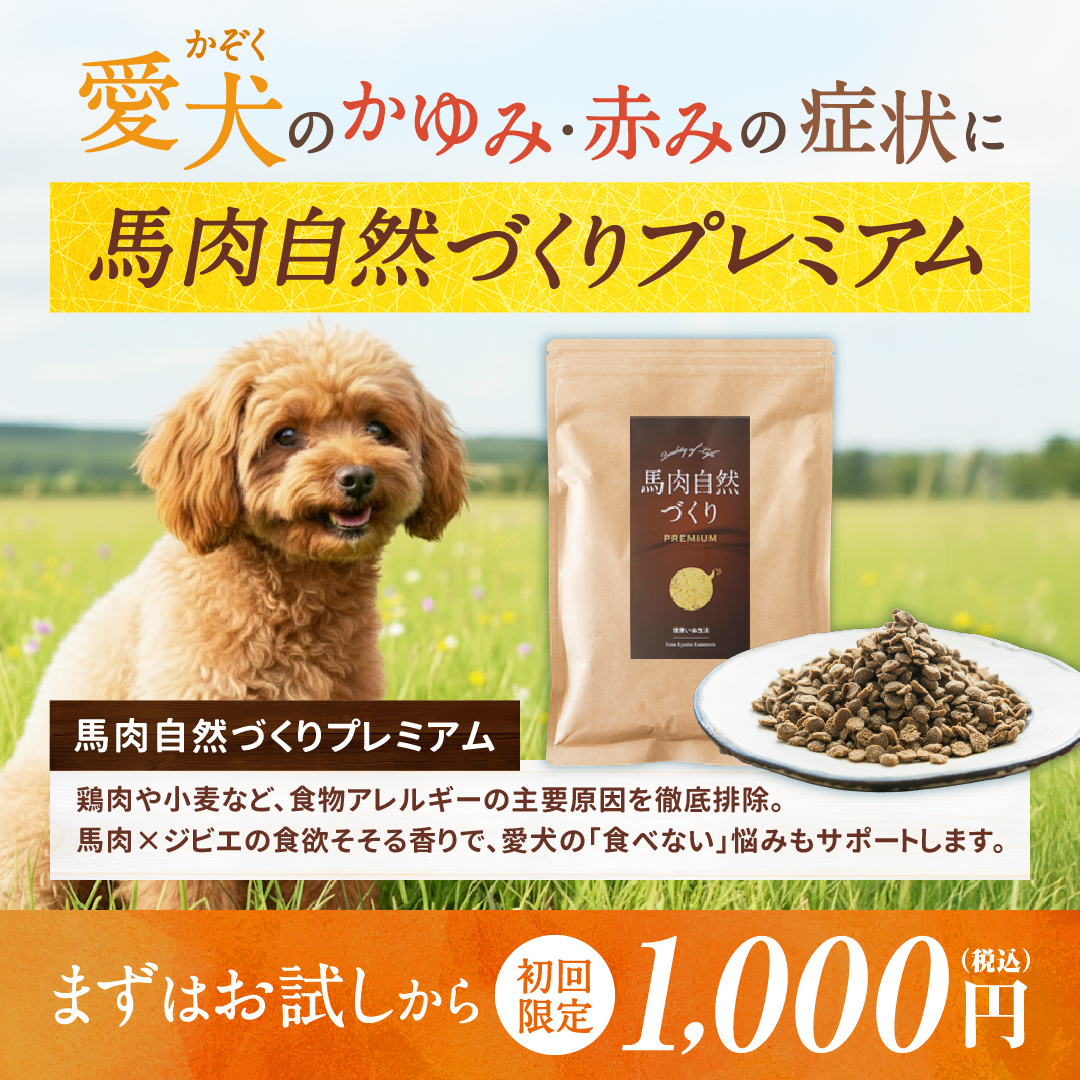 健康いぬ生活 Facebook ad