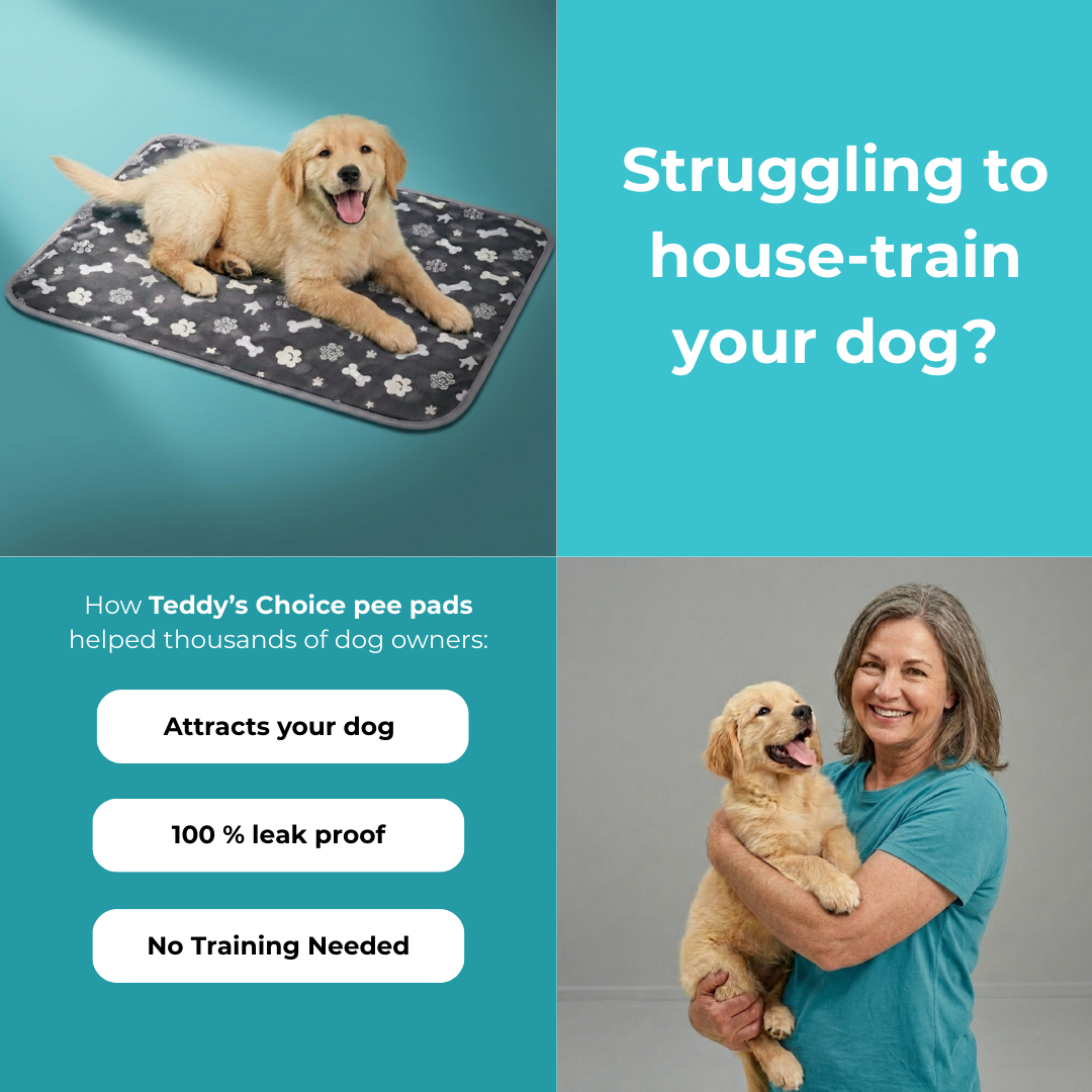 Teddy's Choice Facebook ad: No puppy training needed-dogs just use it