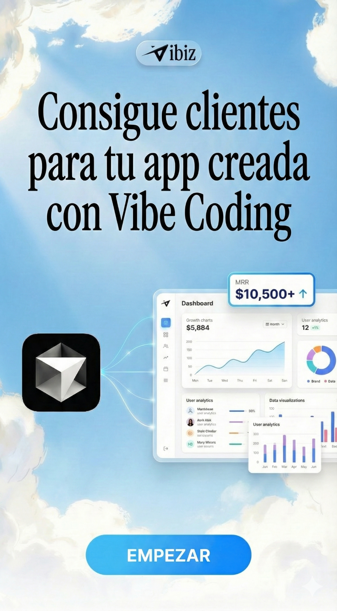 Vibiz Facebook ad