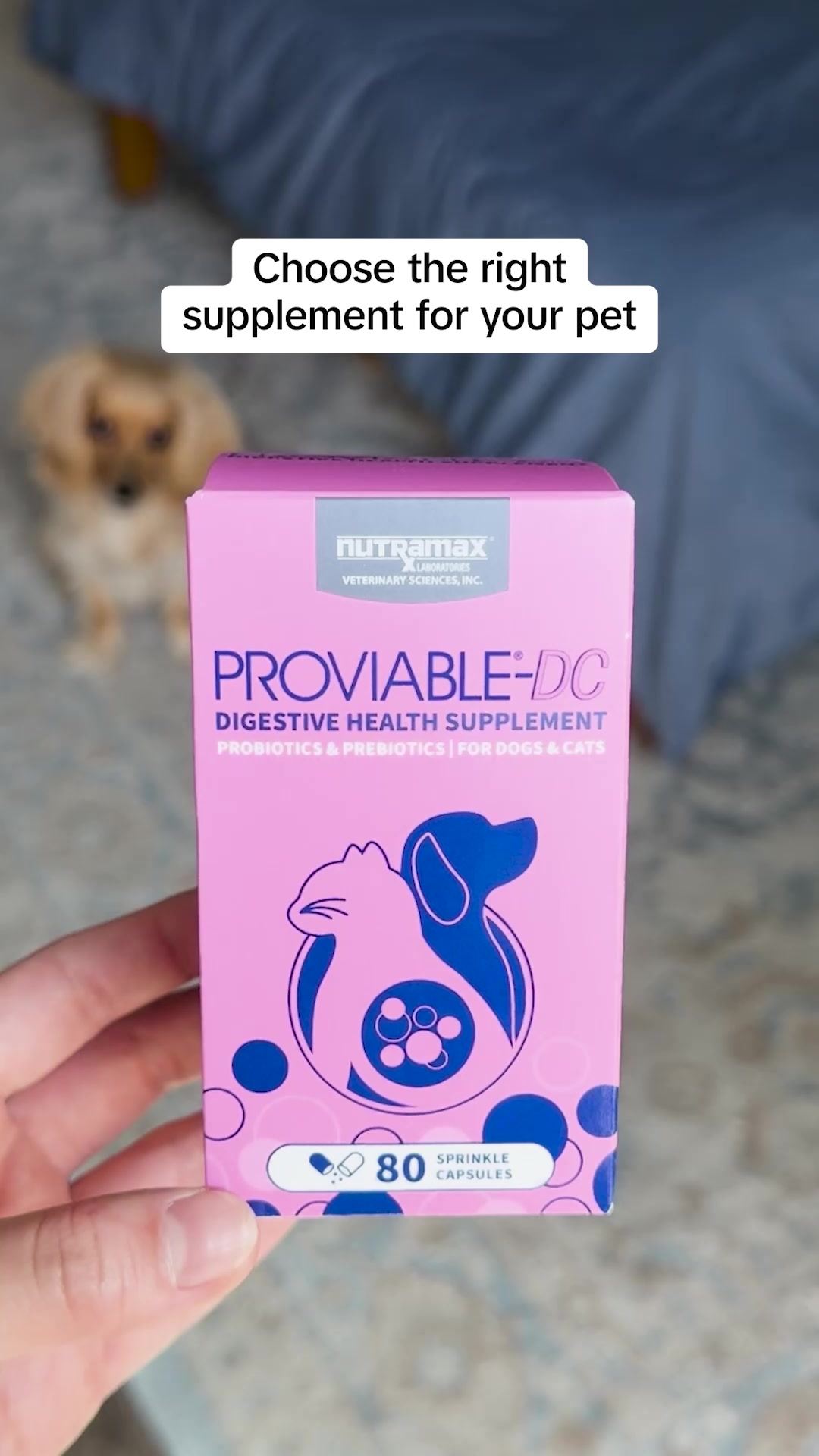 Nutramax Laboratories Facebook ad: Gut health support for your pet