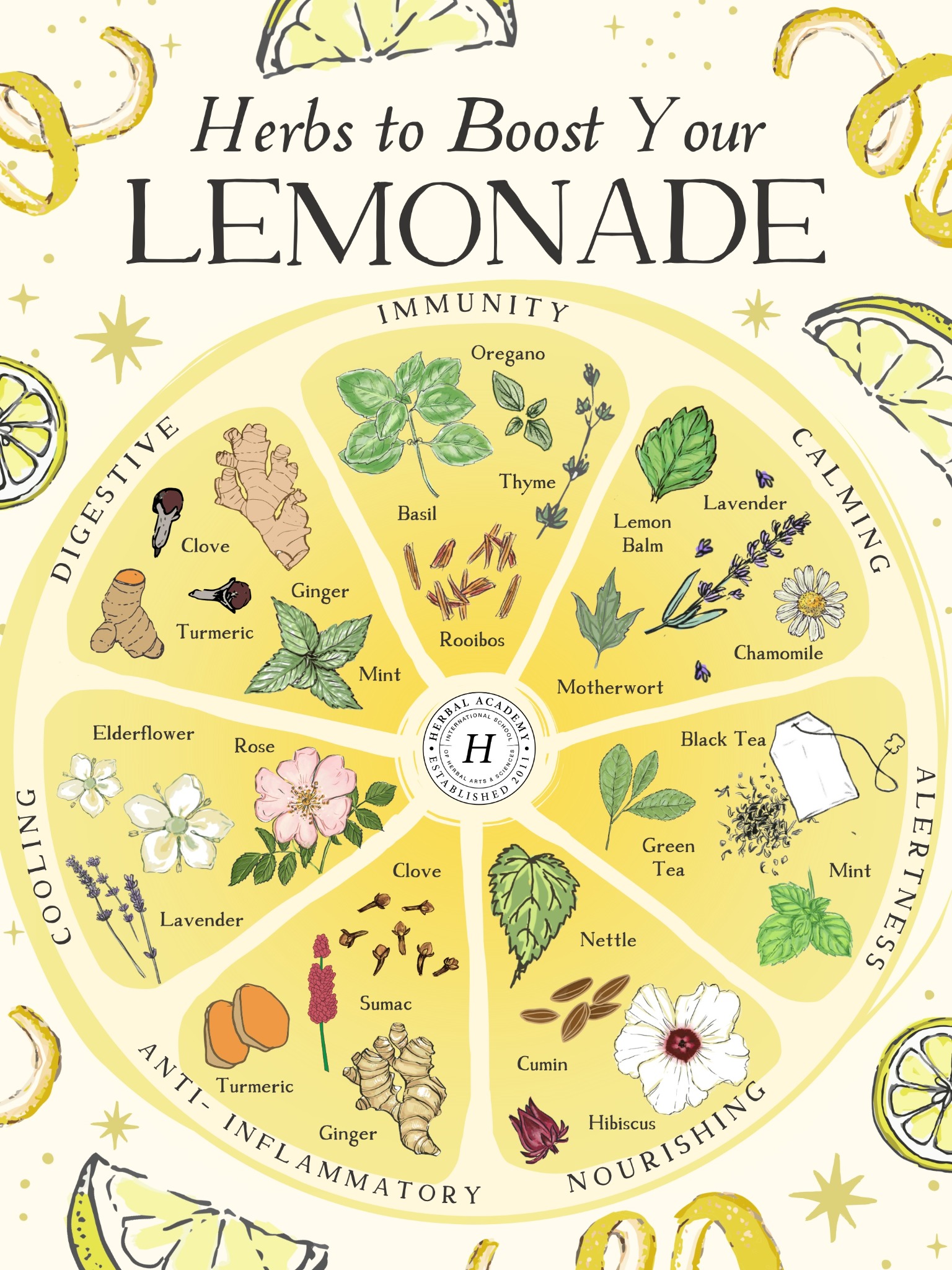 Herbal Academy Facebook ad: Download your free copy today!