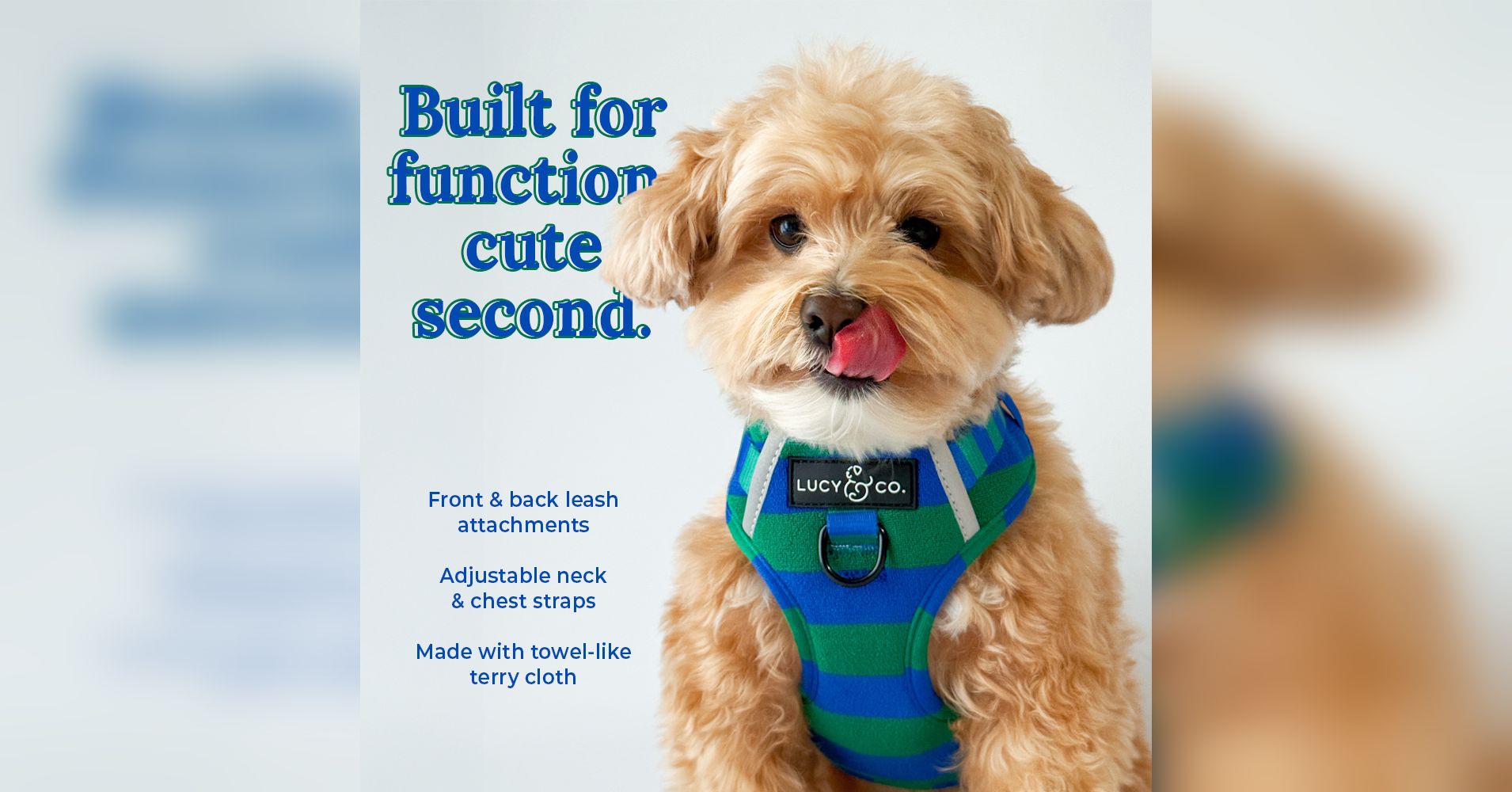 Lucy & Co. Facebook ad