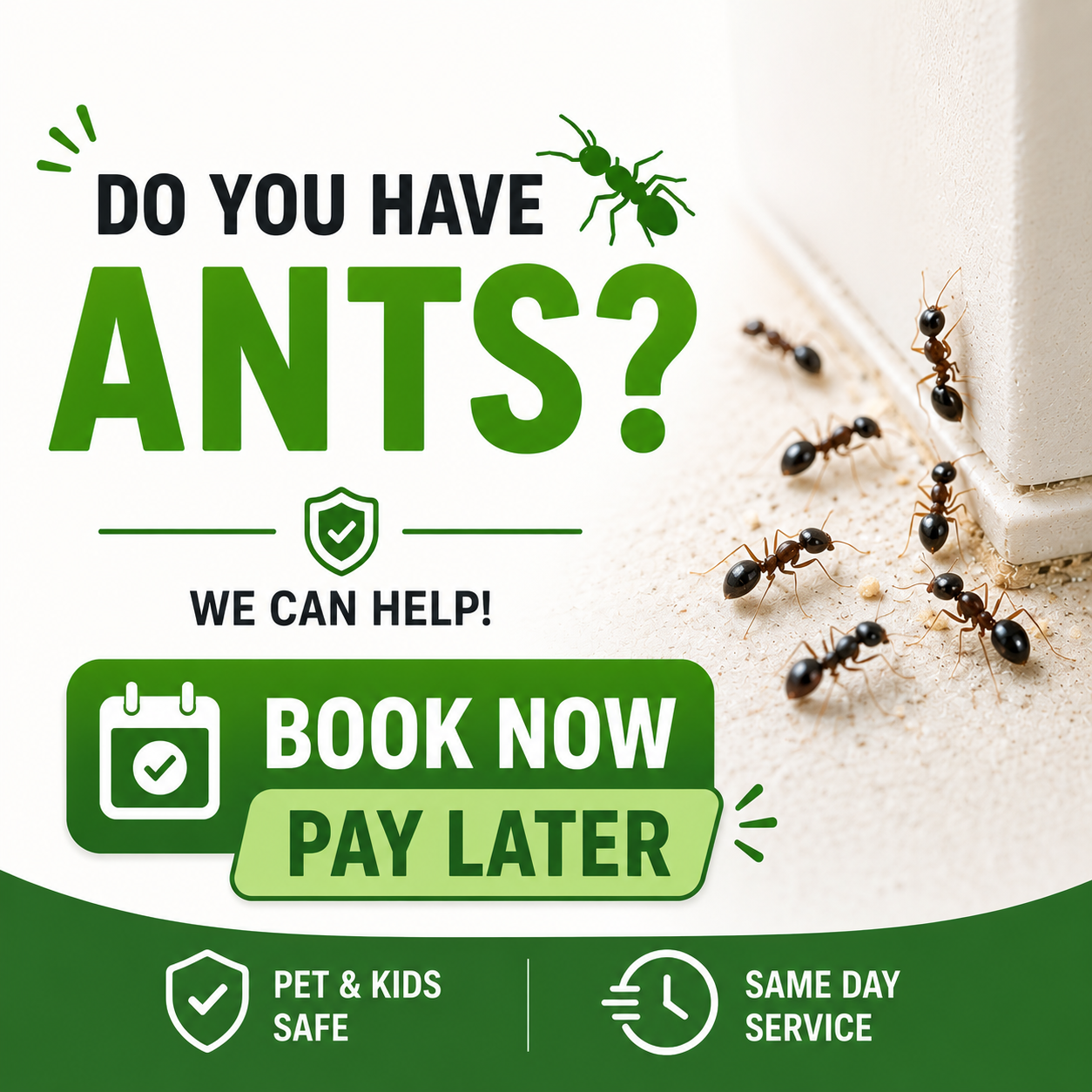 Provincial Pest Control Facebook ad from May 31, 2026