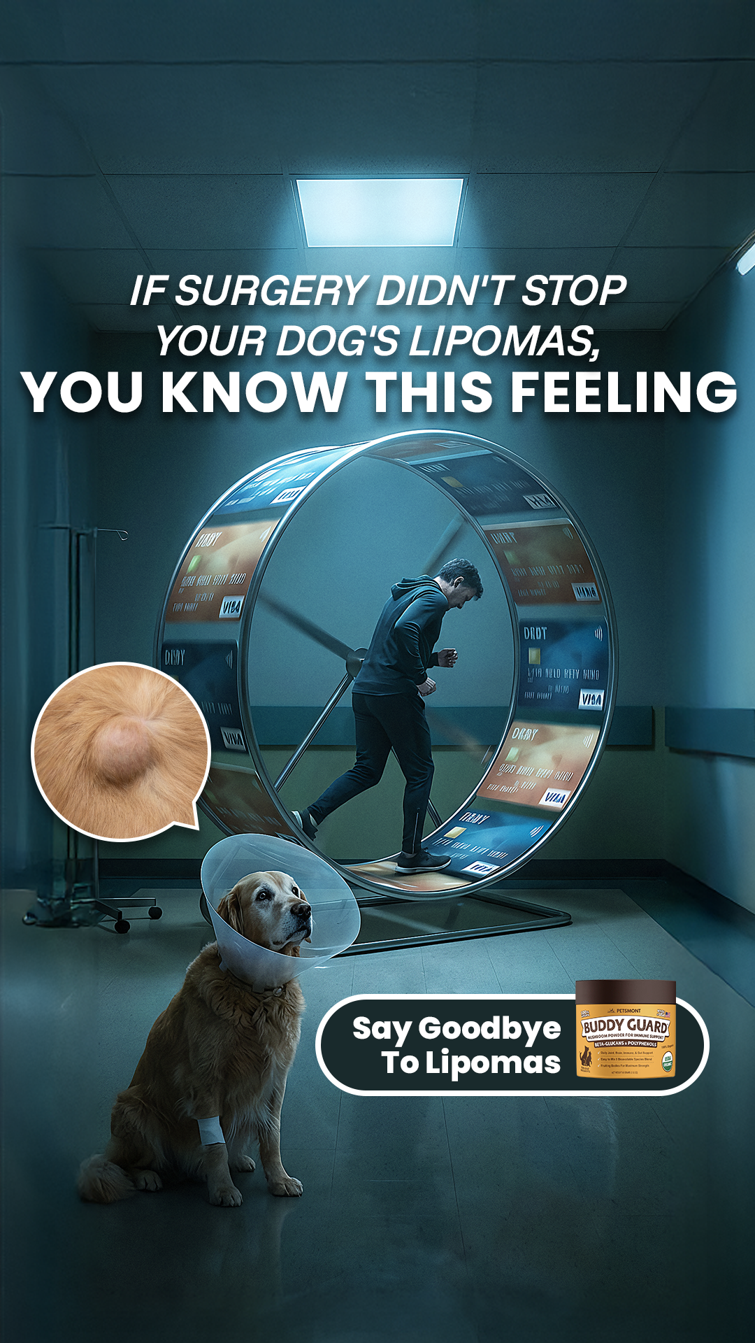 Petsmont Facebook ad