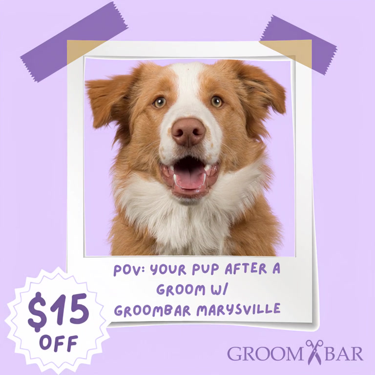 Groombar Marysville, WA Facebook ad