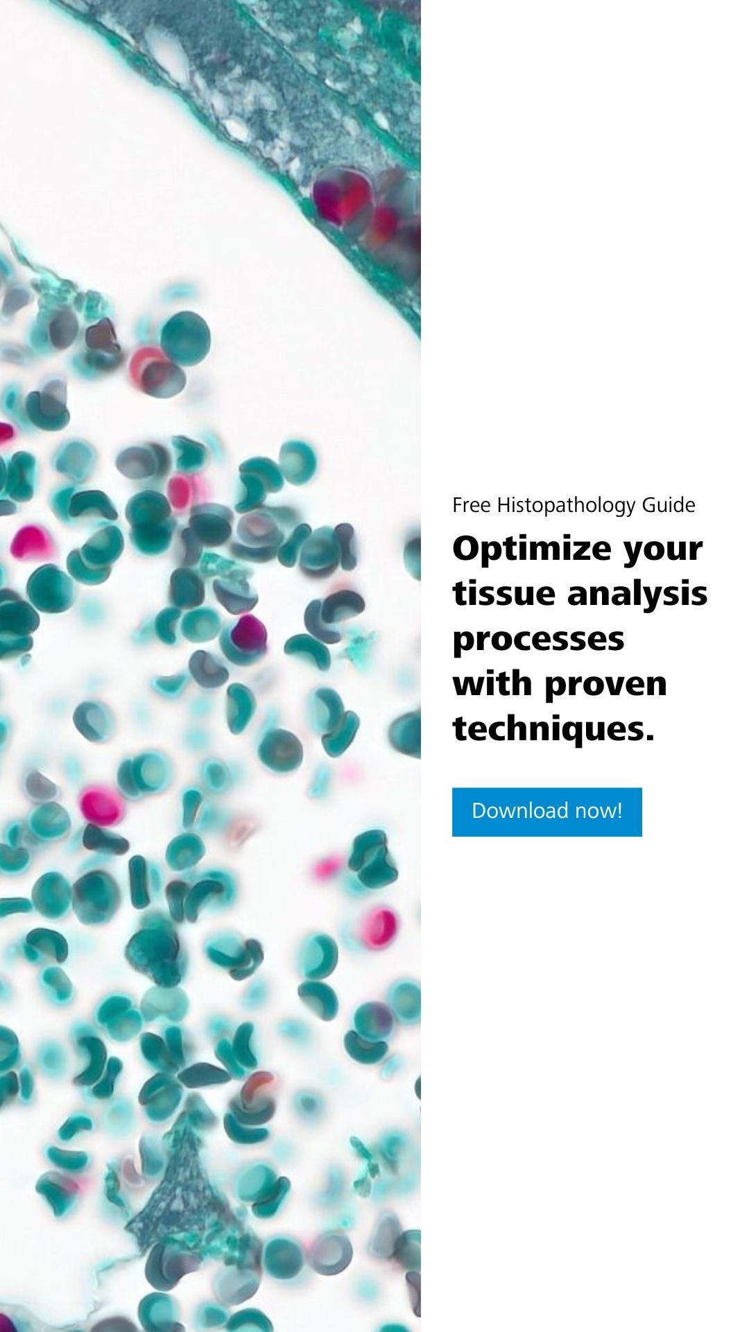 ZEISS Microscopy Facebook ad