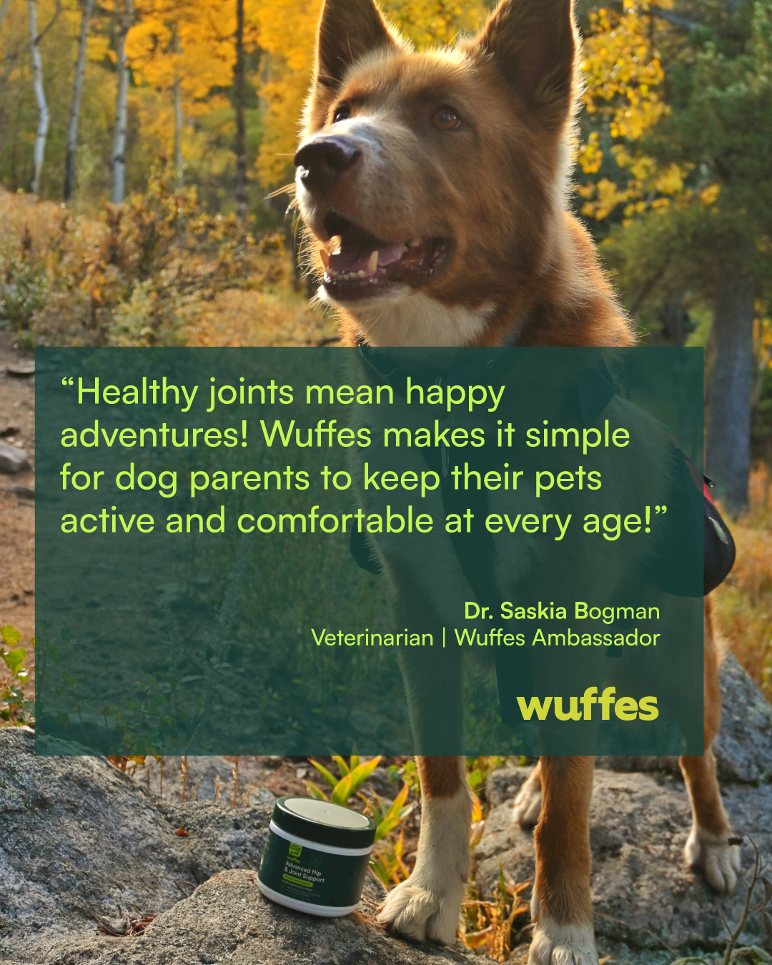 Wuffes Facebook ad