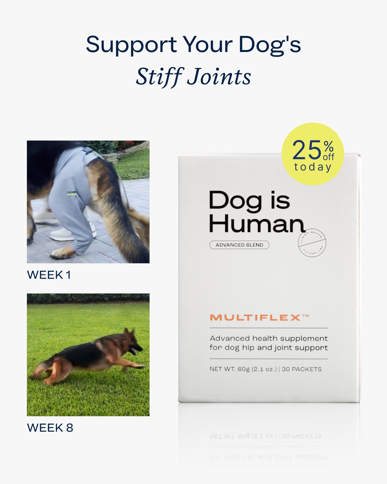 Dog is Human Facebook ad