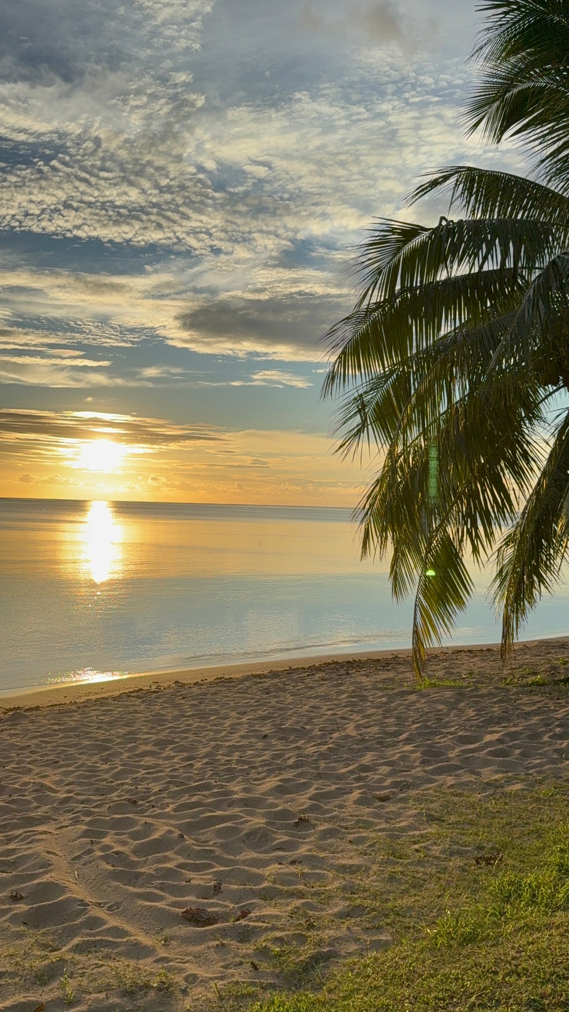 Moorea Dolphin Lodge Facebook ad: Réveillez-vous face au lagon, respirez l’air du Pacifique…
