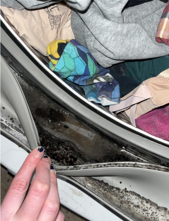 Sarah Thompson Tips Facebook ad: Your Washer Isn't Broken. It's Trapped in a Loop.