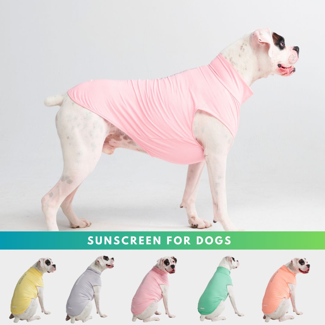 Spark Paws Facebook ad