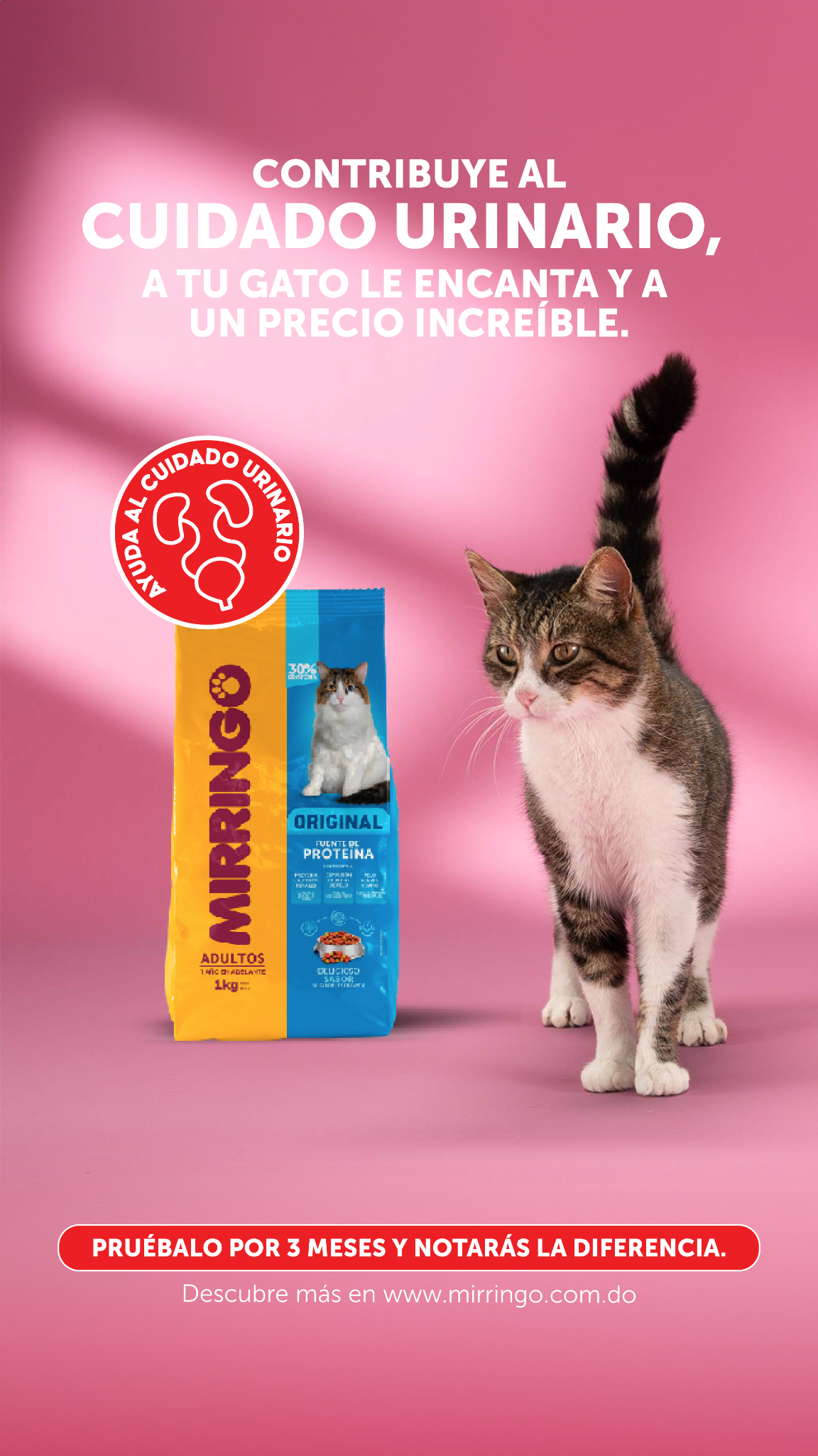 EfectoMirringo Facebook ad