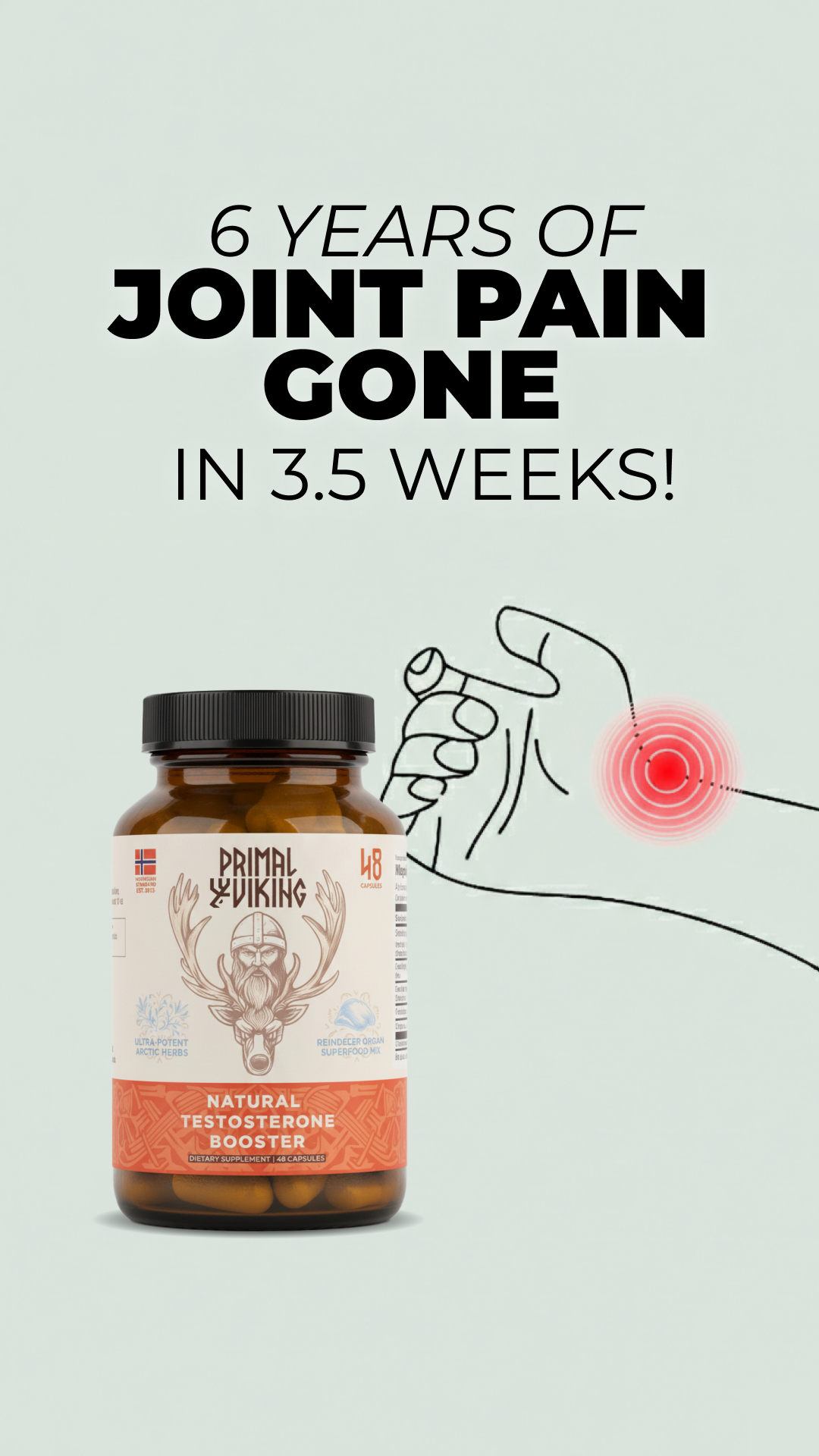 Primal Viking Facebook ad