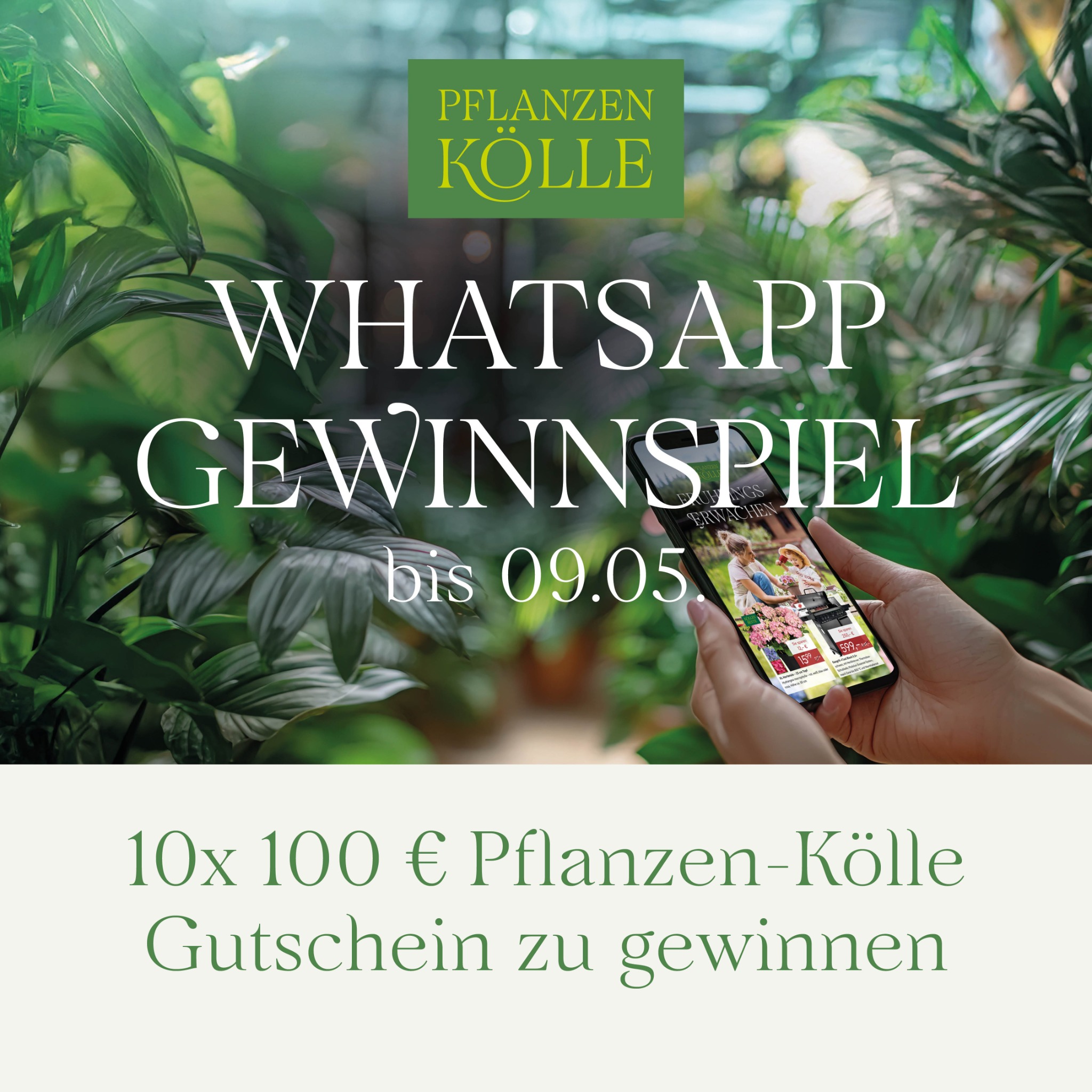 Pflanzen-Kölle Facebook ad