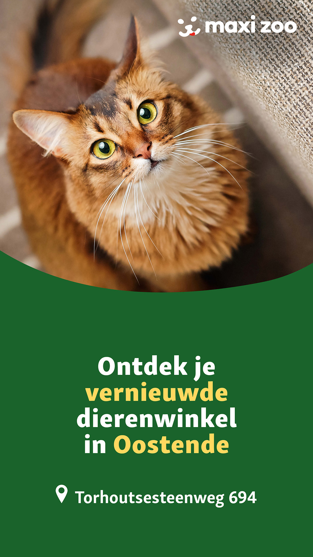 Maxi Zoo Belgium Facebook ad from Jan 26, 2026