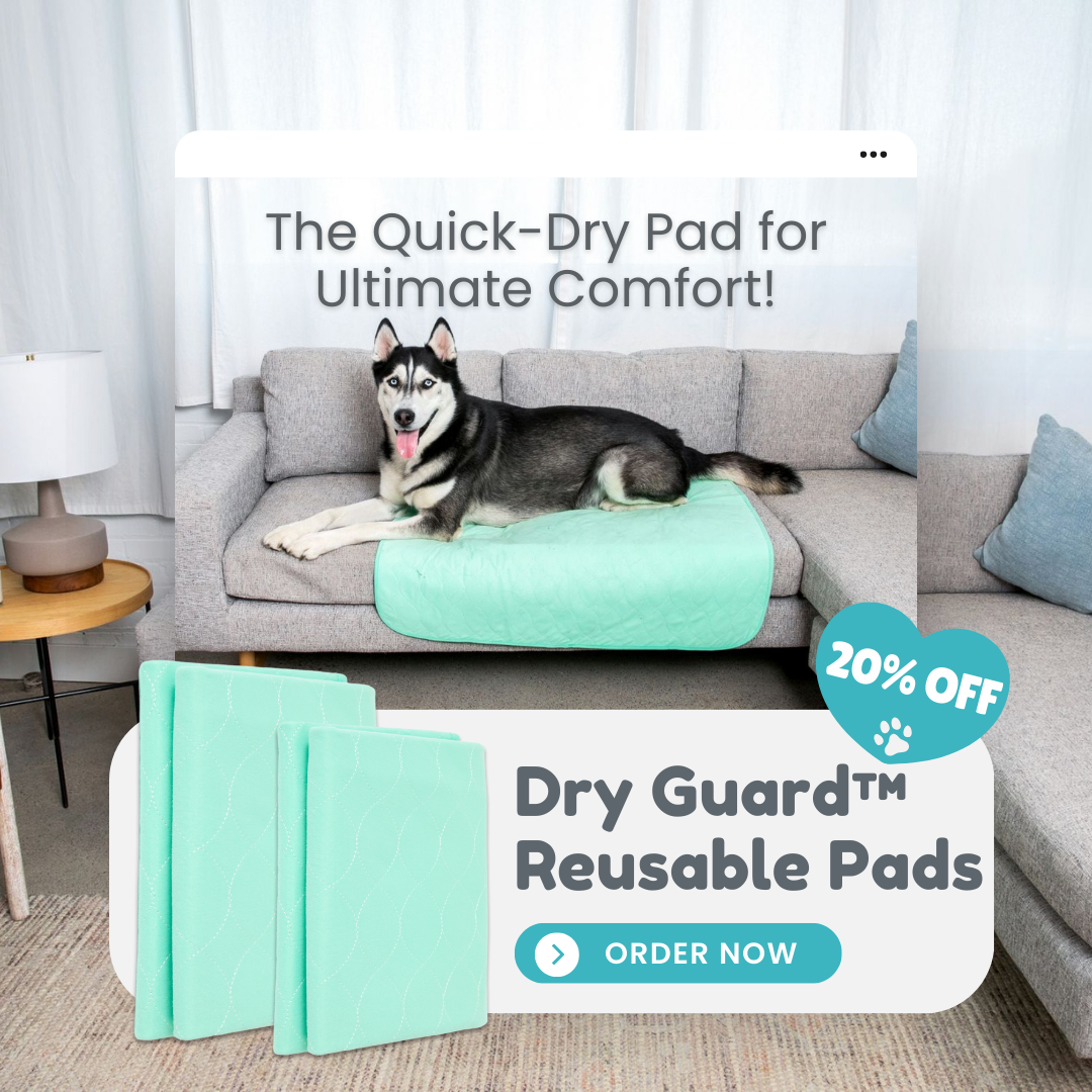 Potty Buddy Facebook ad