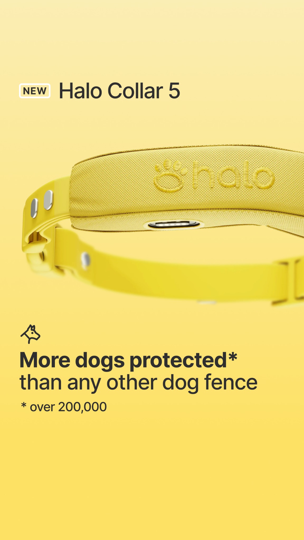 Halo Collar Facebook ad