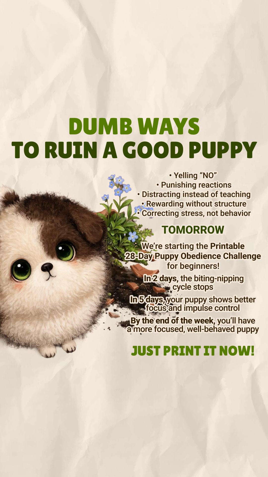 Dog Training & Tips Facebook ad