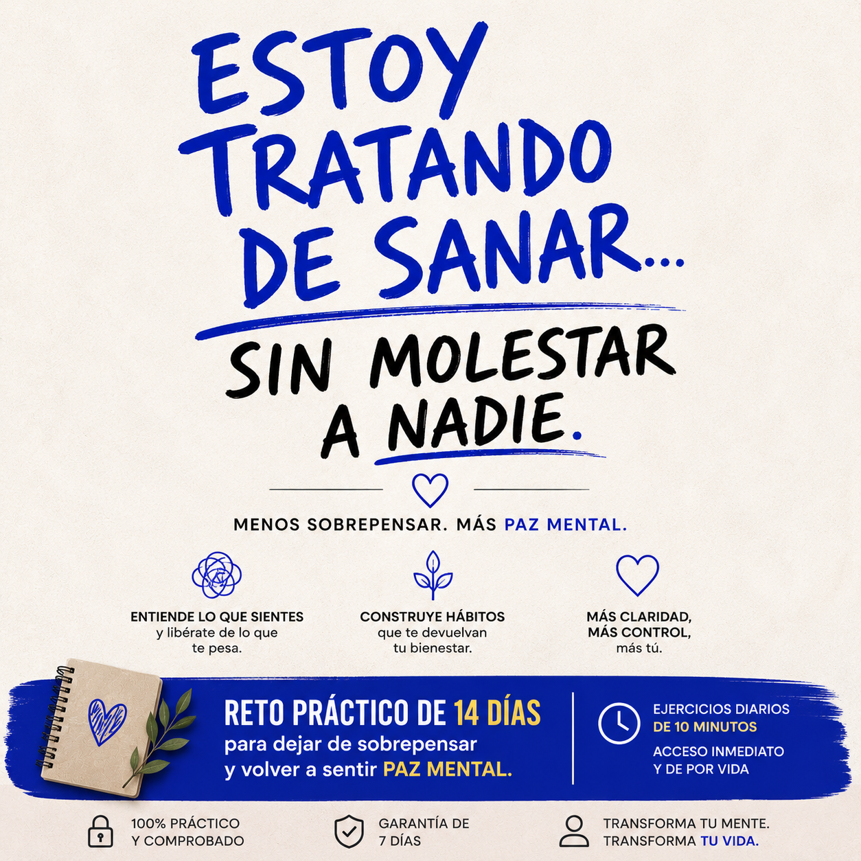 Digitana. Facebook ad