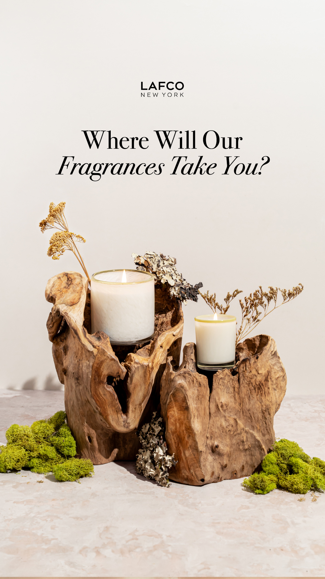 LAFCO New York Facebook ad