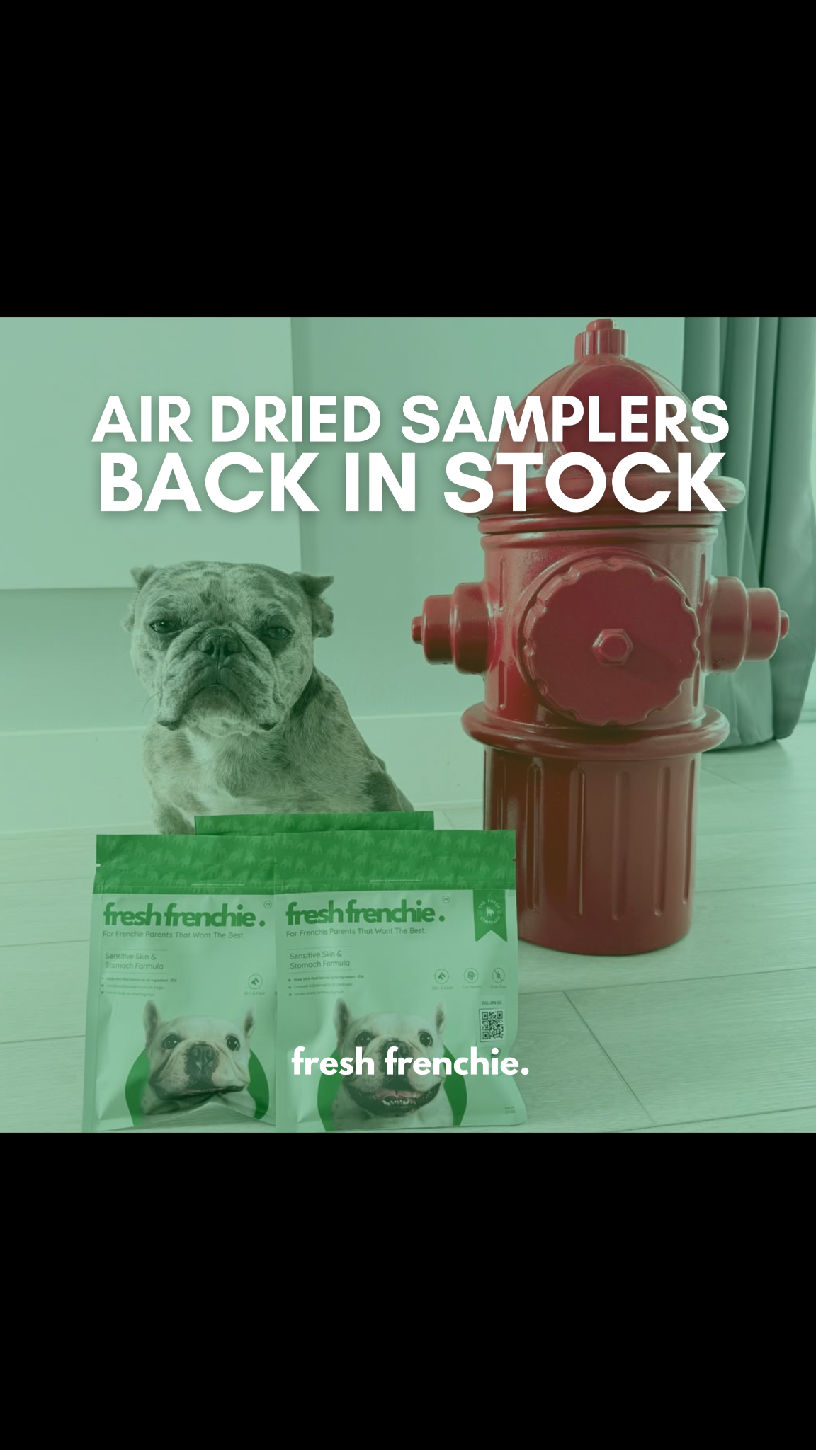 Fresh Frenchie Facebook ad