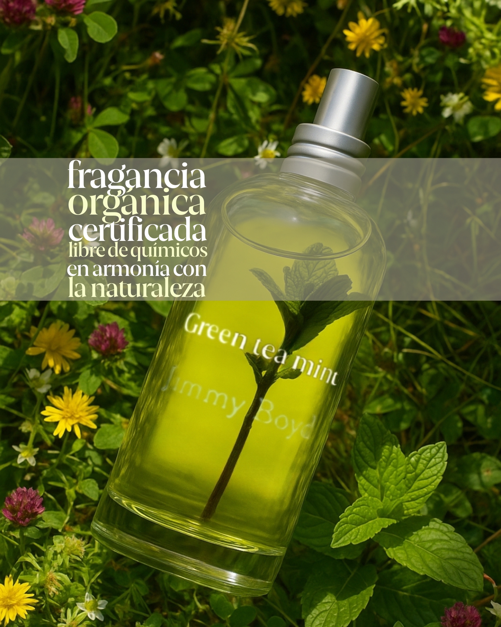 Jimmy Boyd Bio Organic Perfumery Facebook ad: Descubre nuestras Fragancias Bio Orgánicas en casa