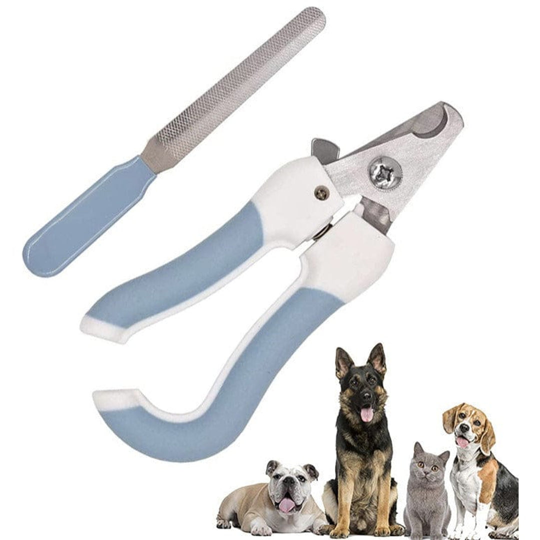 Kutkut Pet Cares Facebook ad: Make your furry friend happier with premium pet…