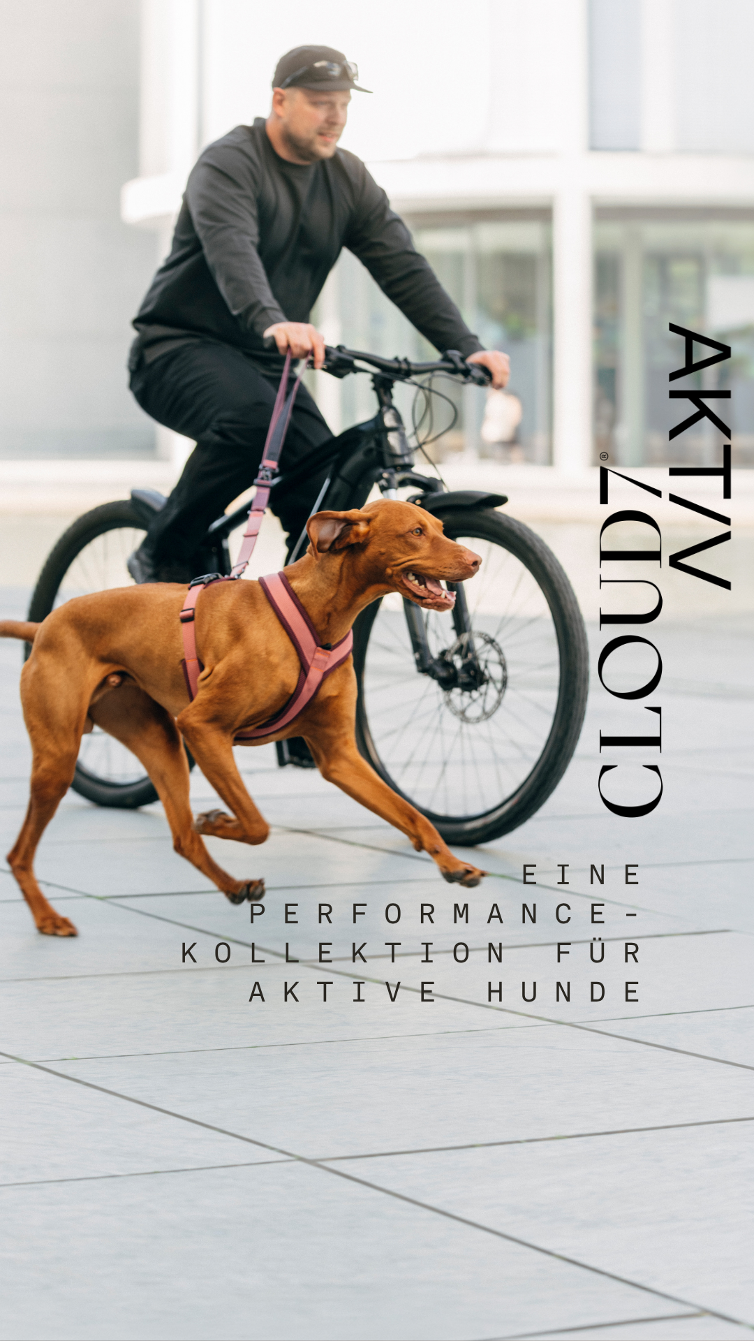 Cloud7 Facebook ad: Entdecke CLOUD7AKTIV
