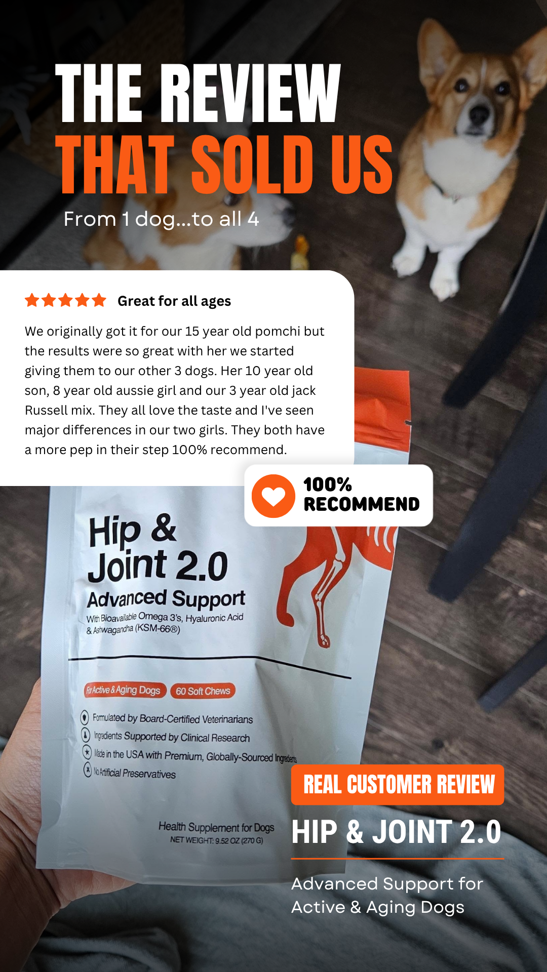 Little Chonk Facebook ad