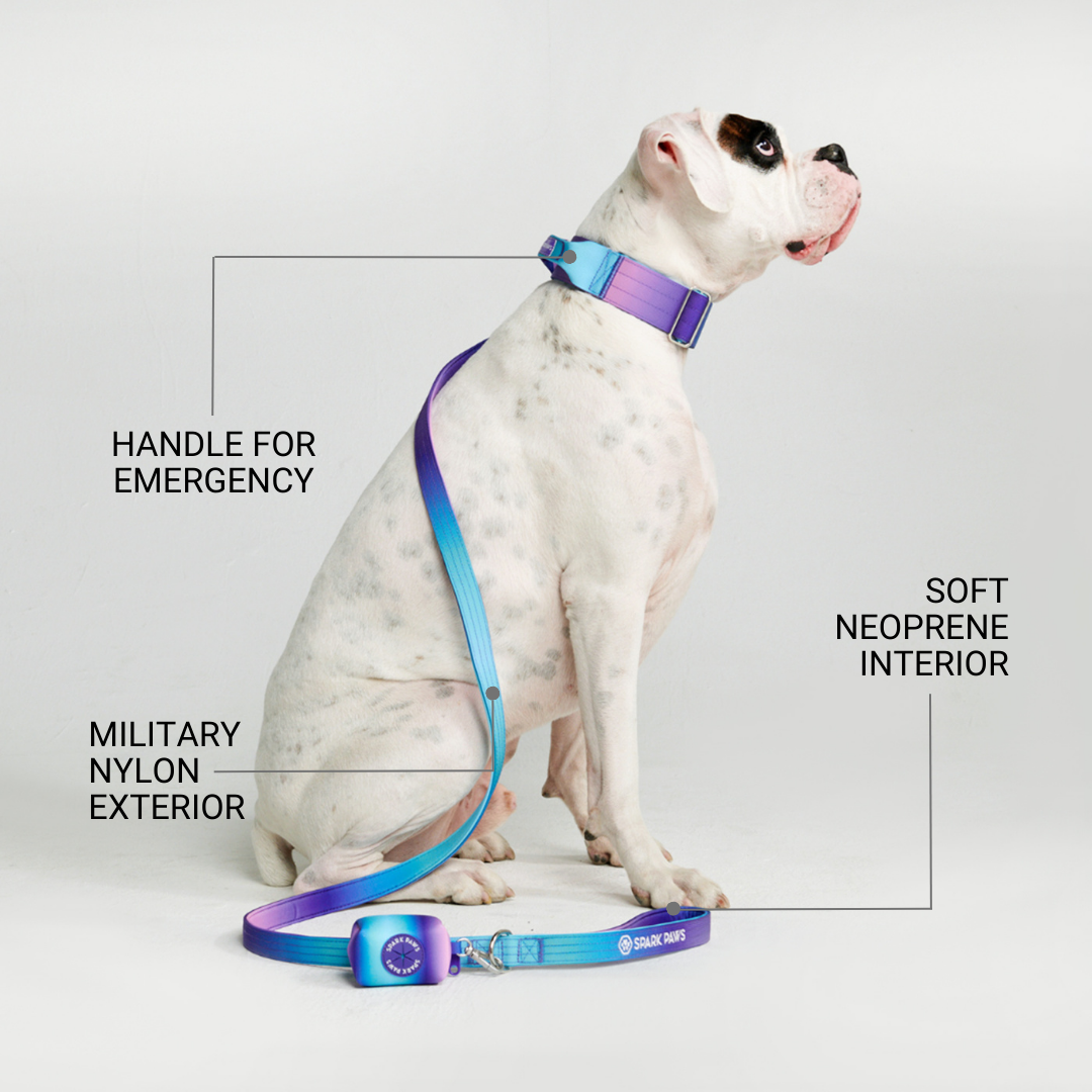 Spark Paws Facebook ad
