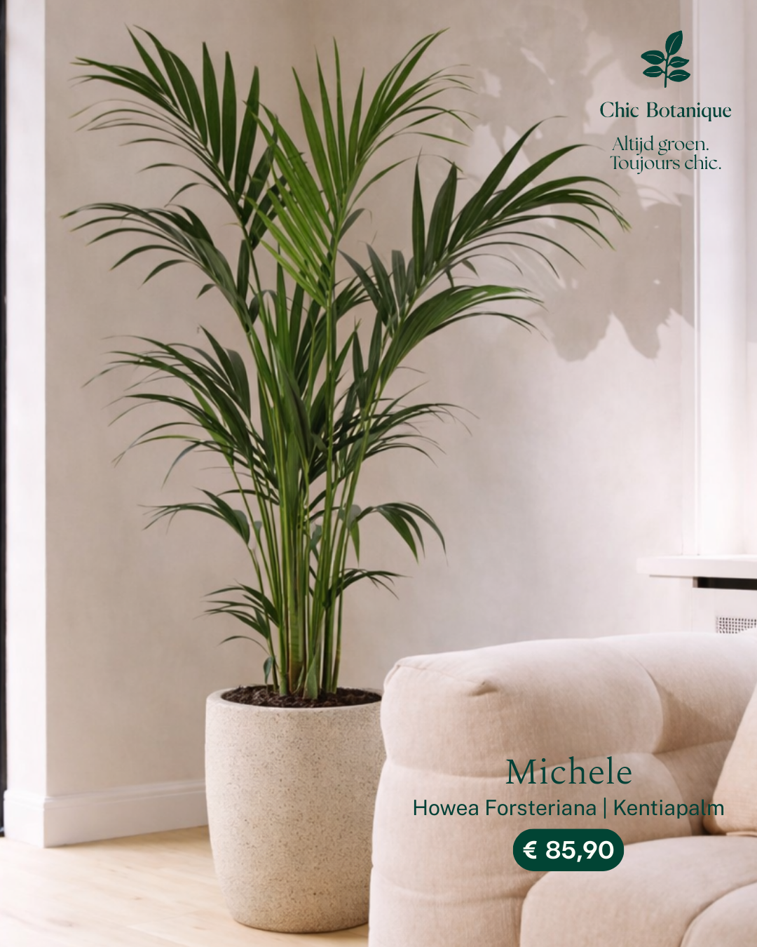 Chic Botanique Facebook ad