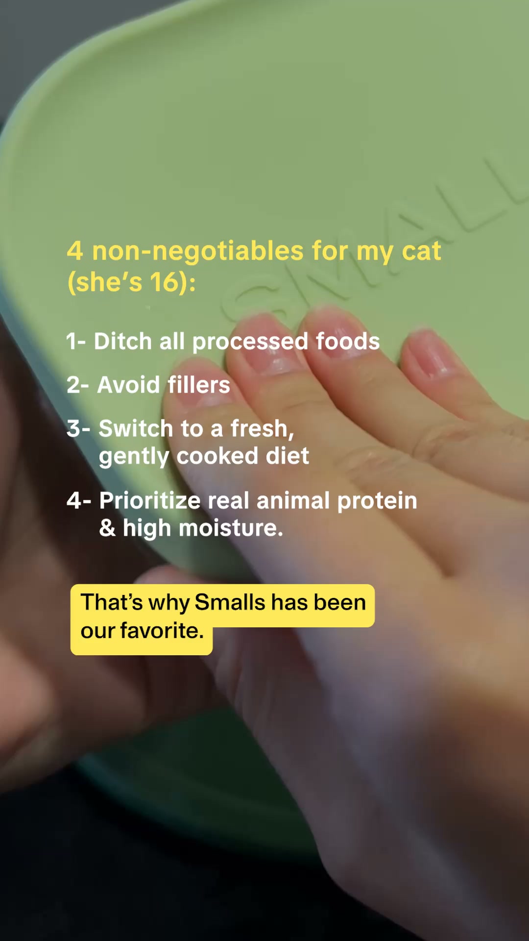 Smalls Facebook ad: Human-Grade Fresh Cat Food