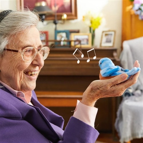 The Alzheimer's Store Facebook ad: The Alzheimer's Store: Specialized products designed…