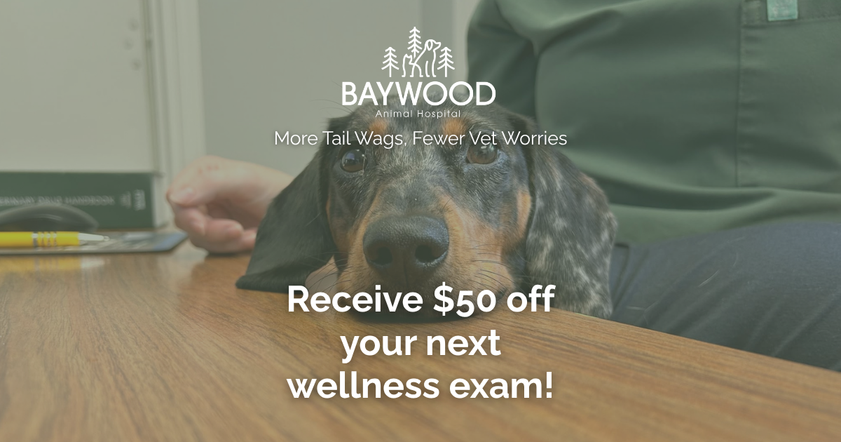 Baywood Animal Hospital, Midhurst Facebook ad