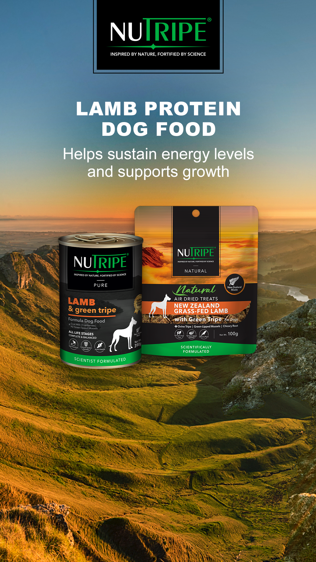 Petstock Facebook ad
