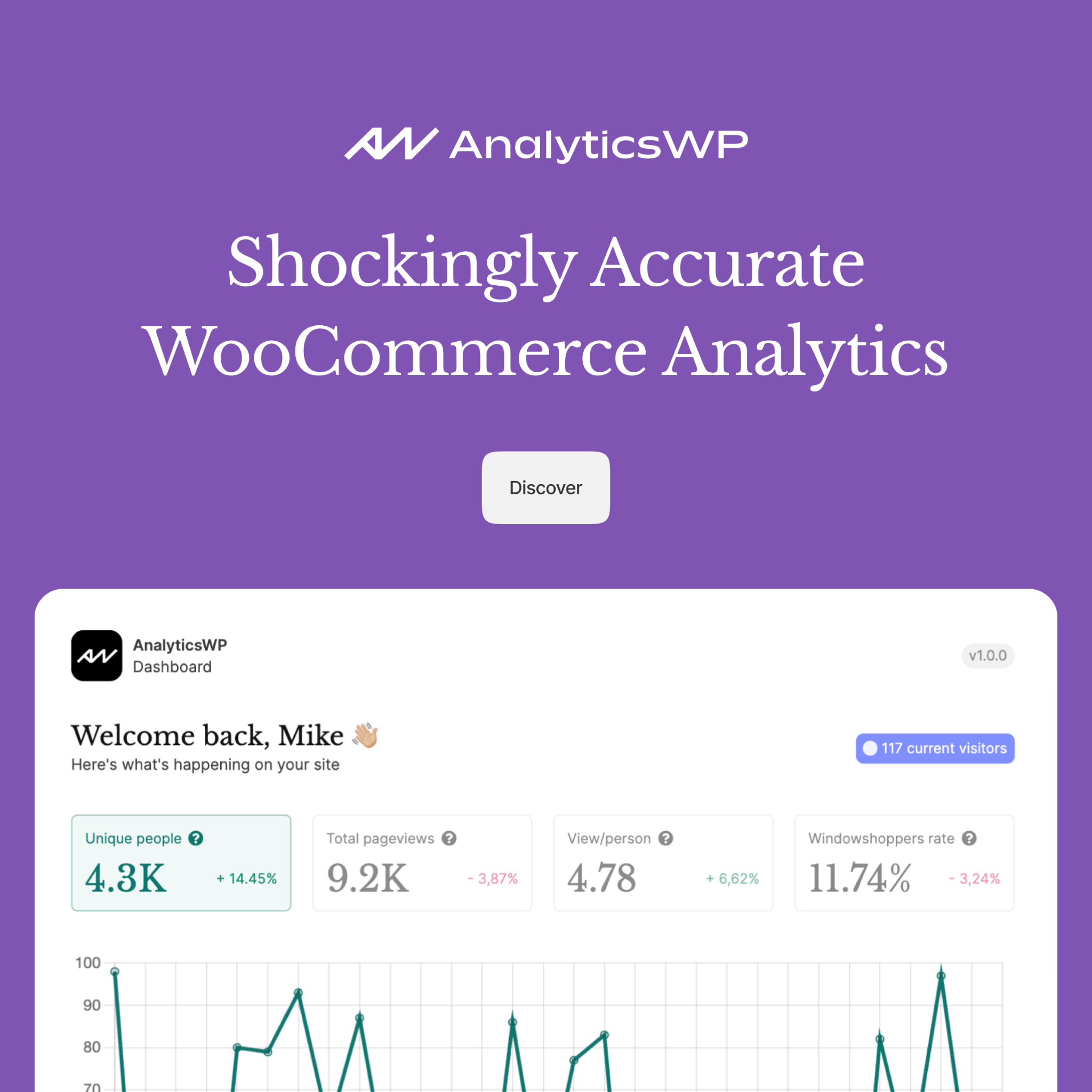 Analytics WP Facebook ad