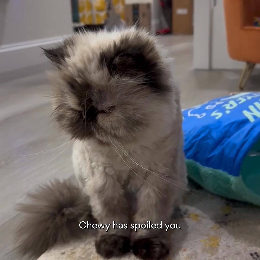 Chewy Facebook ad: Save on pet meds every day