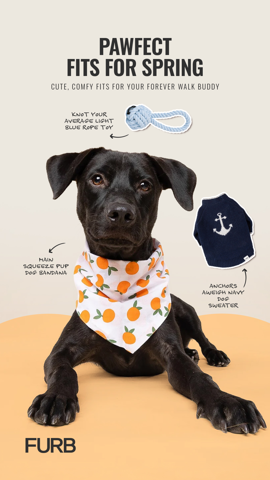 Furb Facebook ad